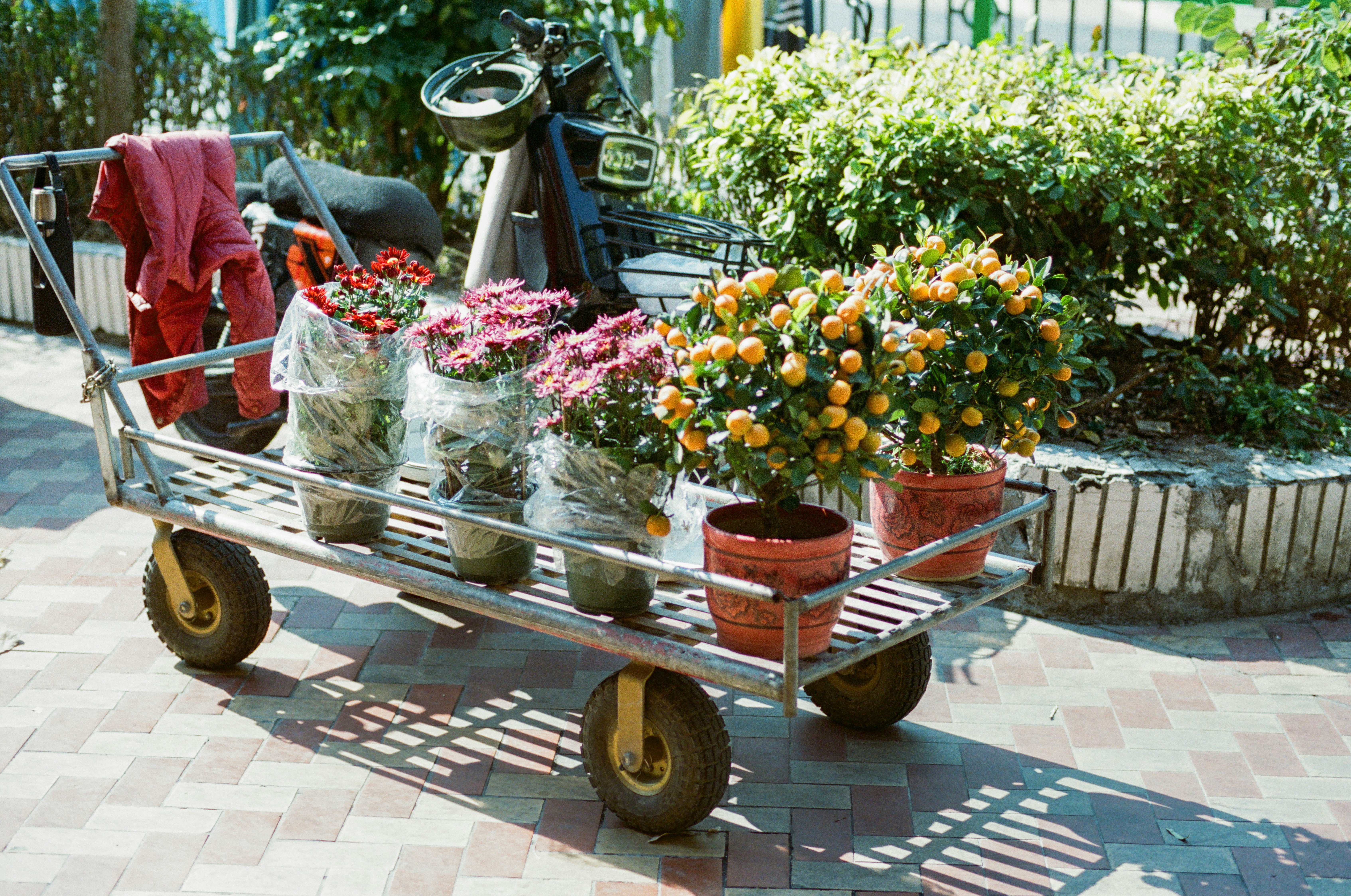 Our first flower cart in 2019